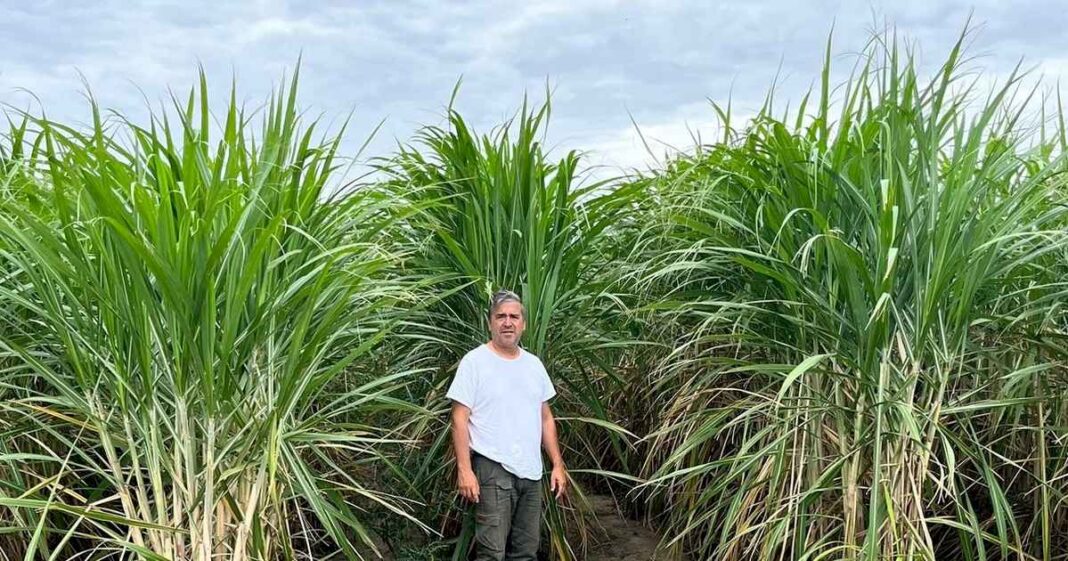 ministros-de-seis-provincias-proponen-otra-ley-para-los-biocombustibles