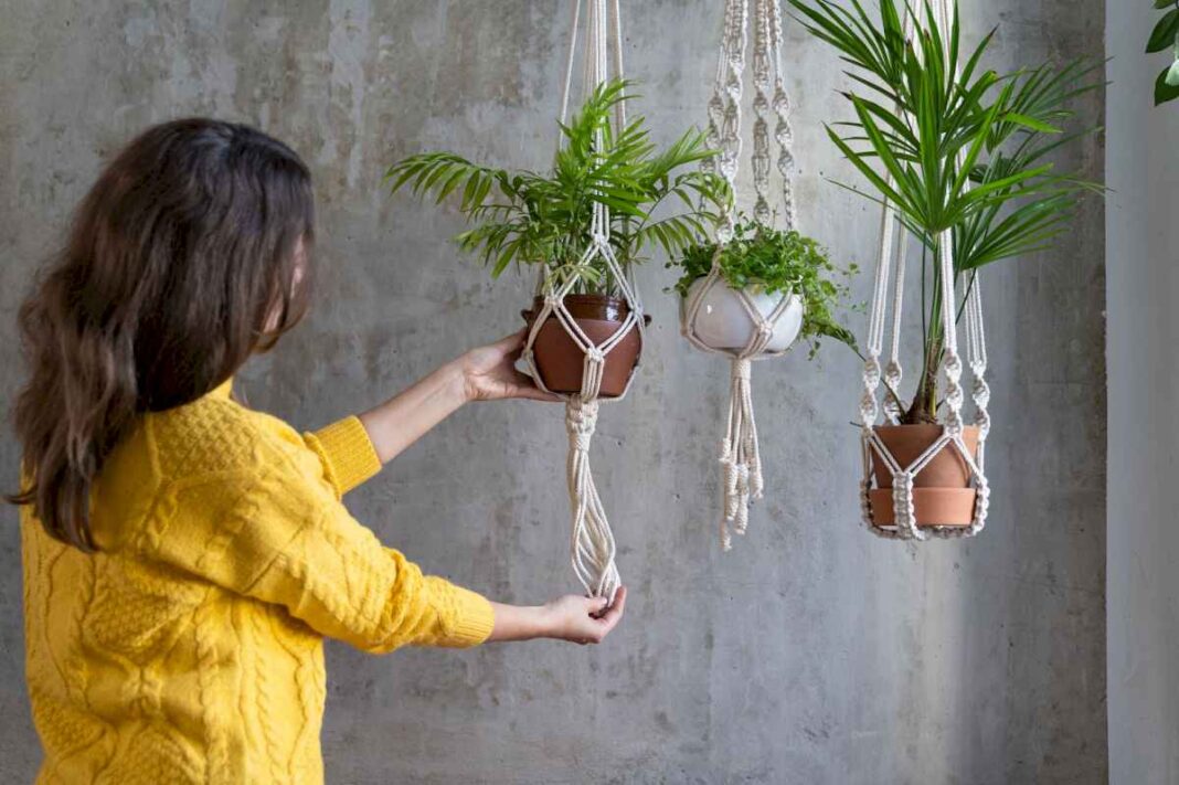 deco-verde:-las-5-plantas-colgantes-mas-lindas-para-dar-vida-a-la-casa