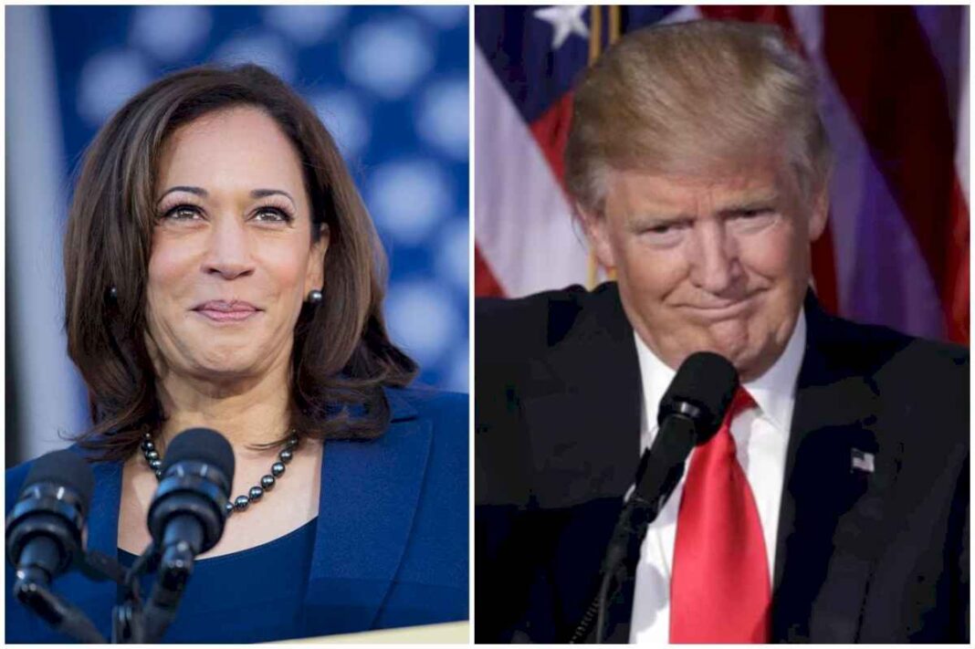 quien-gana-las-elecciones-en-eeuu.-2024?-asi-estan-las-encuestas-entre-trump-y-kamala-harris-hoy,-viernes-1-de-noviembre