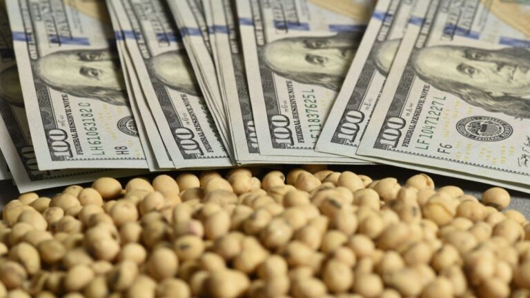 Duro cruce del campo a Javier Milei por las retenciones: «Todavía no cumplió nada»