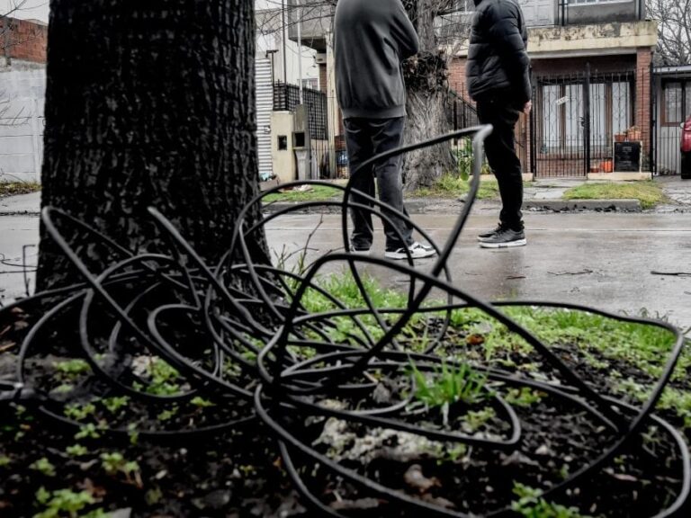 Tragedia en Mar del Plata: murió degollado por un cable atado entre árboles sobre la calle