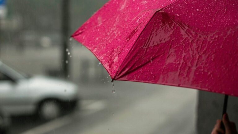 Alerta por tormentas para este domingo: el informe del Servicio Meteorológico Nacional