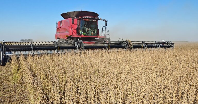 Eliminación temporal de las retenciones: para los economistas, le da aire al Gobierno pero no calma la tensión política