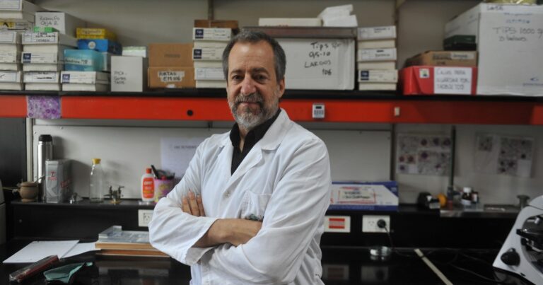 Lucha contra el Parkinson: lanzan la primera startup argentina que busca innovar con células madre