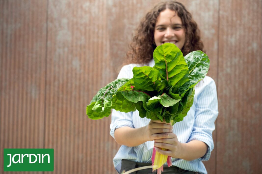 Varios frascos de conservas caseras, como pickles y mermeladas, sobre una mesa de madera en una cocina.