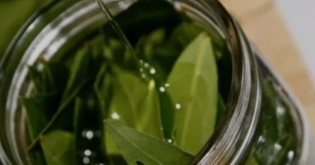 Hojas de laurel secas junto a una olla con agua hirviendo, sobre una mesa de cocina.