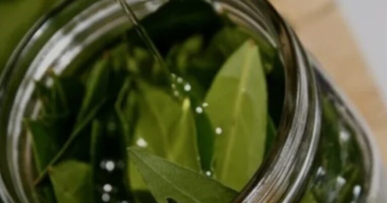 Hojas de laurel secas junto a una olla con agua hirviendo, sobre una mesa de cocina.