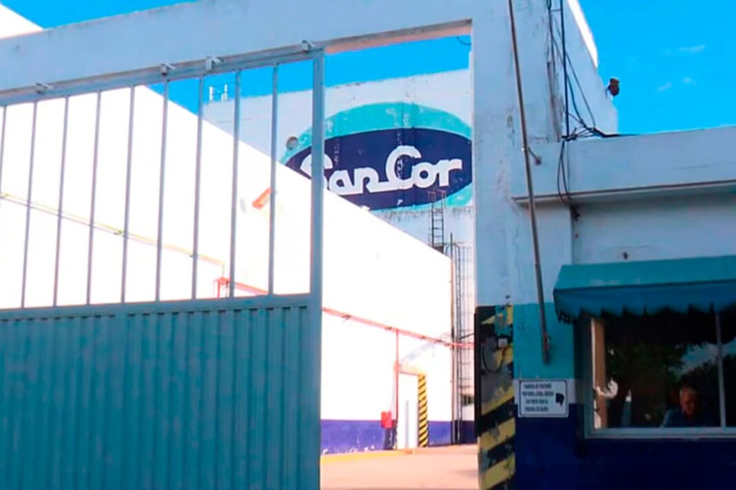 Logotipo o imagen de la cooperativa láctea SanCor