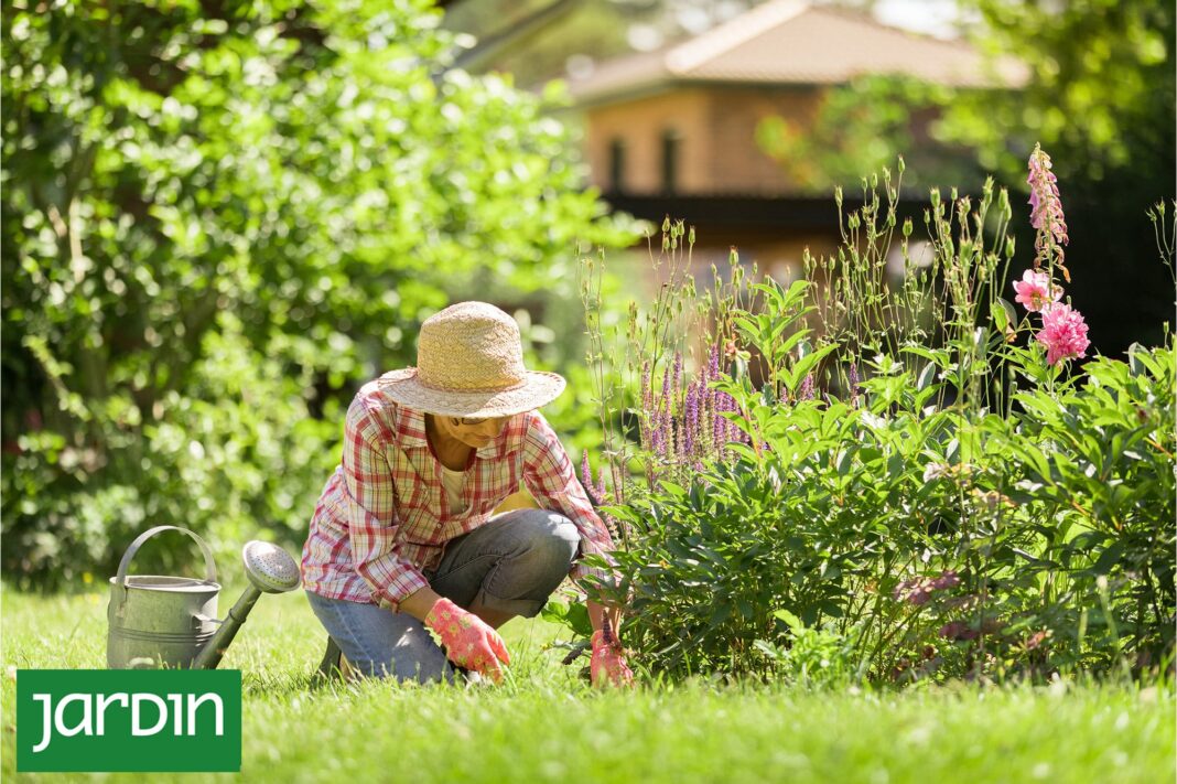 Jardín diseñado con capas de plantas, repetición de especies y paleta de colores verdes y plateados