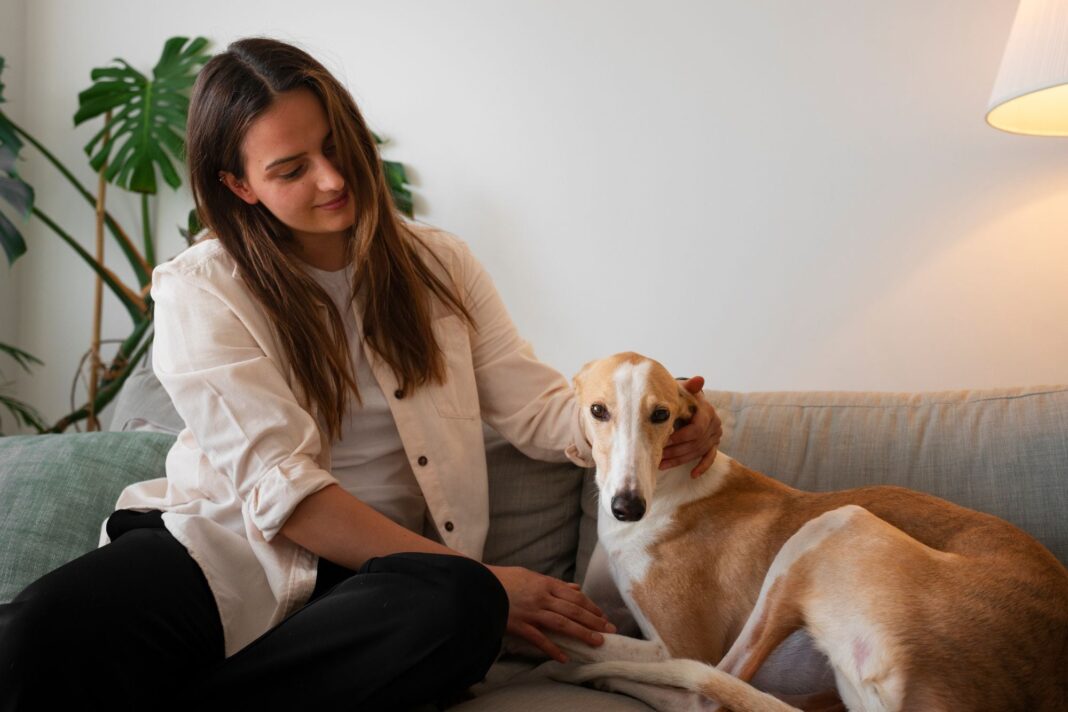 Persona despidiéndose de su perro en la puerta de casa