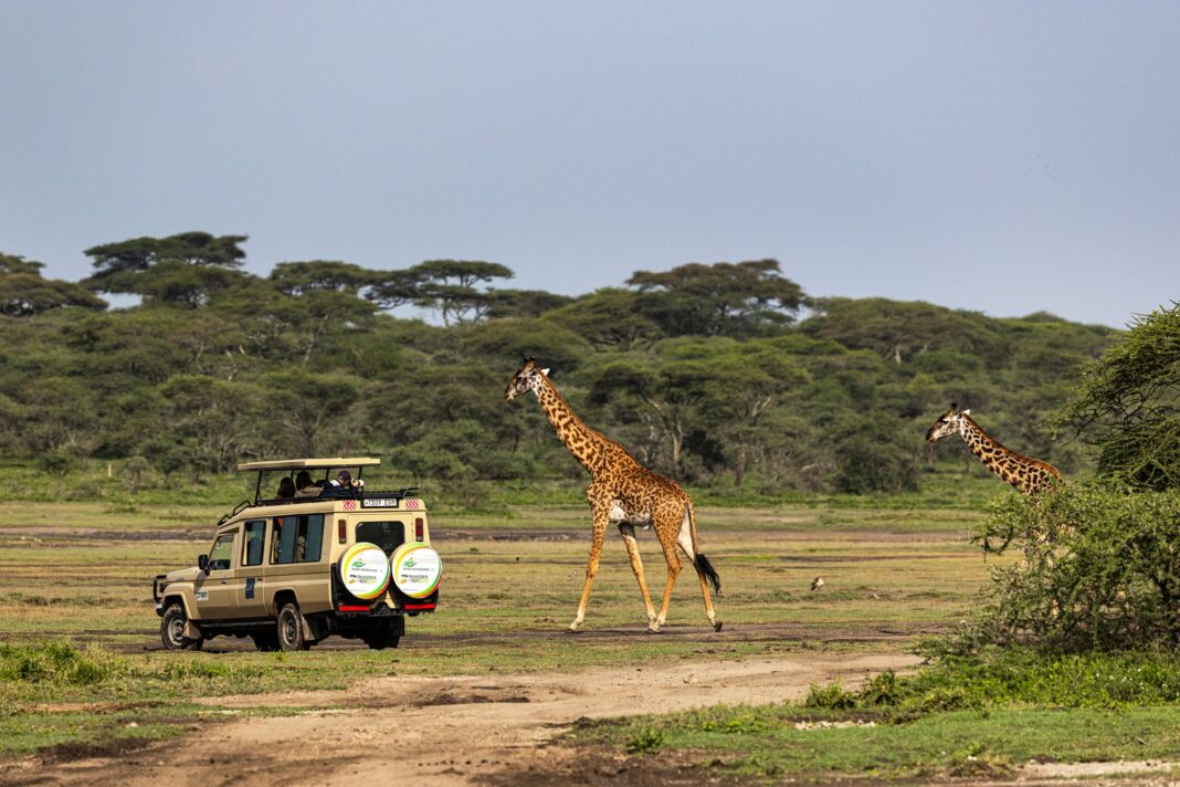Vista de la sabana en el Parque Nacional Serengeti, Tanzania, con manadas de animales.