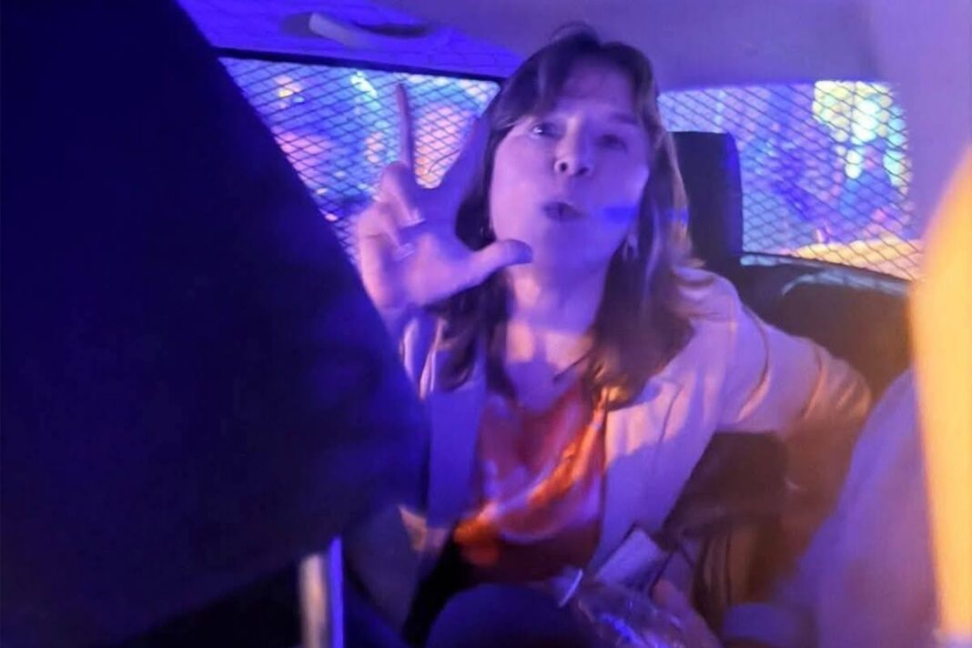 Inés Brizuela y Doria, vicepresidenta nacional de la UCR.