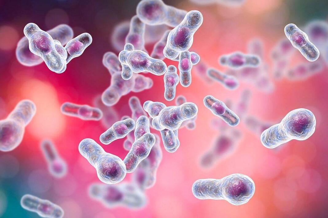 Vacuna experimental contra Clostridioides difficile en Argentina