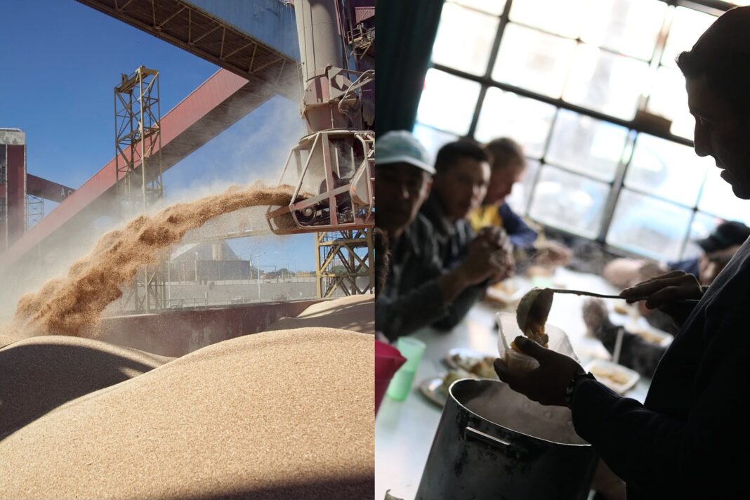 Campo argentino con silos de grano y un plato vacío en primer plano, simbolizando el contraste entre exportaciones récord y accesibilidad interna