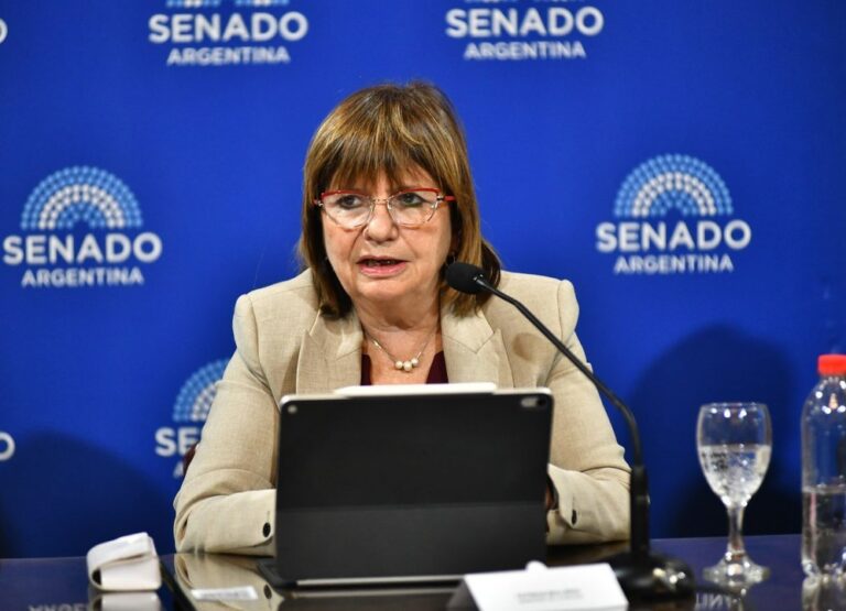 Patricia Bullrich durante una conferencia de prensa