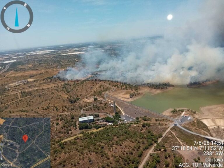 Bomberos forestales trabajando en la extinción del incendio en Lepe, Huelva