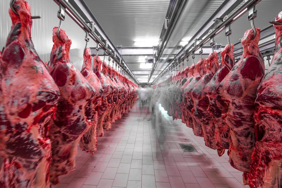 Cortes de carne vacuna argentina para exportación