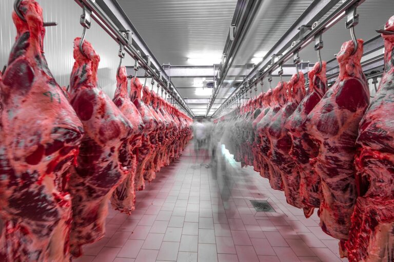 Cortes de carne vacuna argentina para exportación
