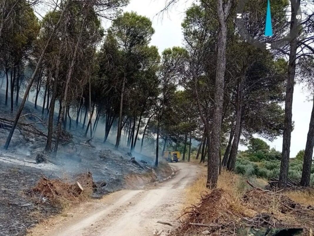 Autobomba y bomberos en labores de refresco tras incendio forestal en Rute