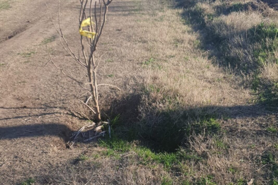 Camino rural en el partido de Colón, provincia de Buenos Aires