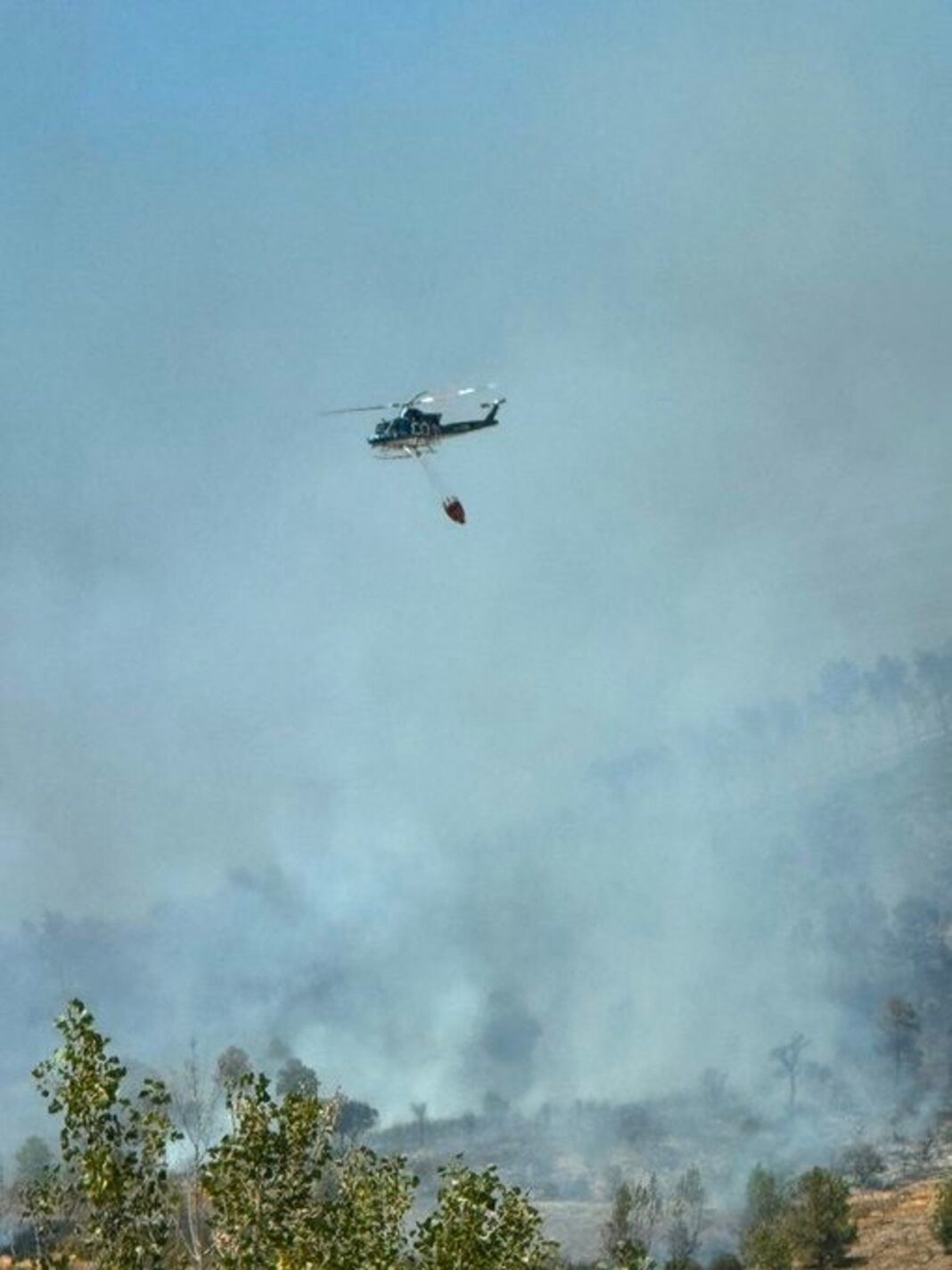 Incendio forestal en Casas de Millán