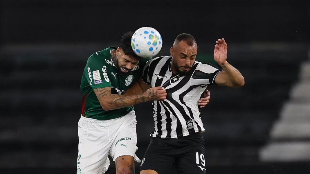 Alexander Barboza durante el partido entre Botafogo y Palmeiras