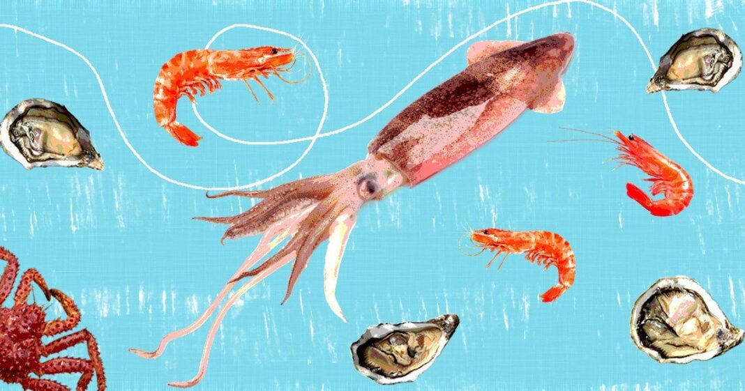 Langostinos y calamares frescos en una pescadería