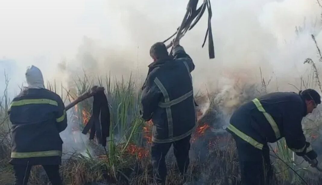 Bomberos trabajan en un incendio en Misiones